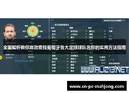 全面解析教你高效查找葡萄牙各大足球球队名称的实用方法指南