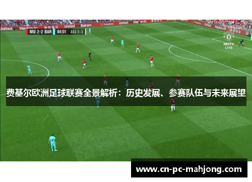 费基尔欧洲足球联赛全景解析：历史发展、参赛队伍与未来展望